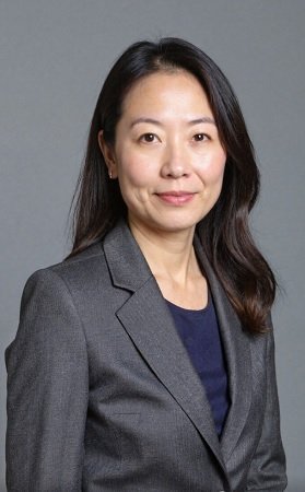 Financial Fraud Attorney